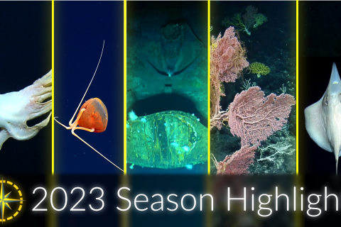 Channel 2 Nautilus Live